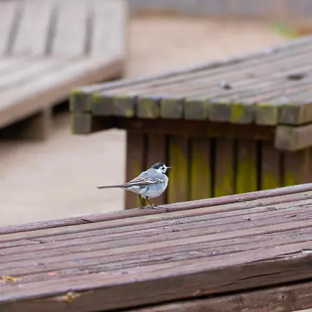 & Kurssikeskus * Raseborg